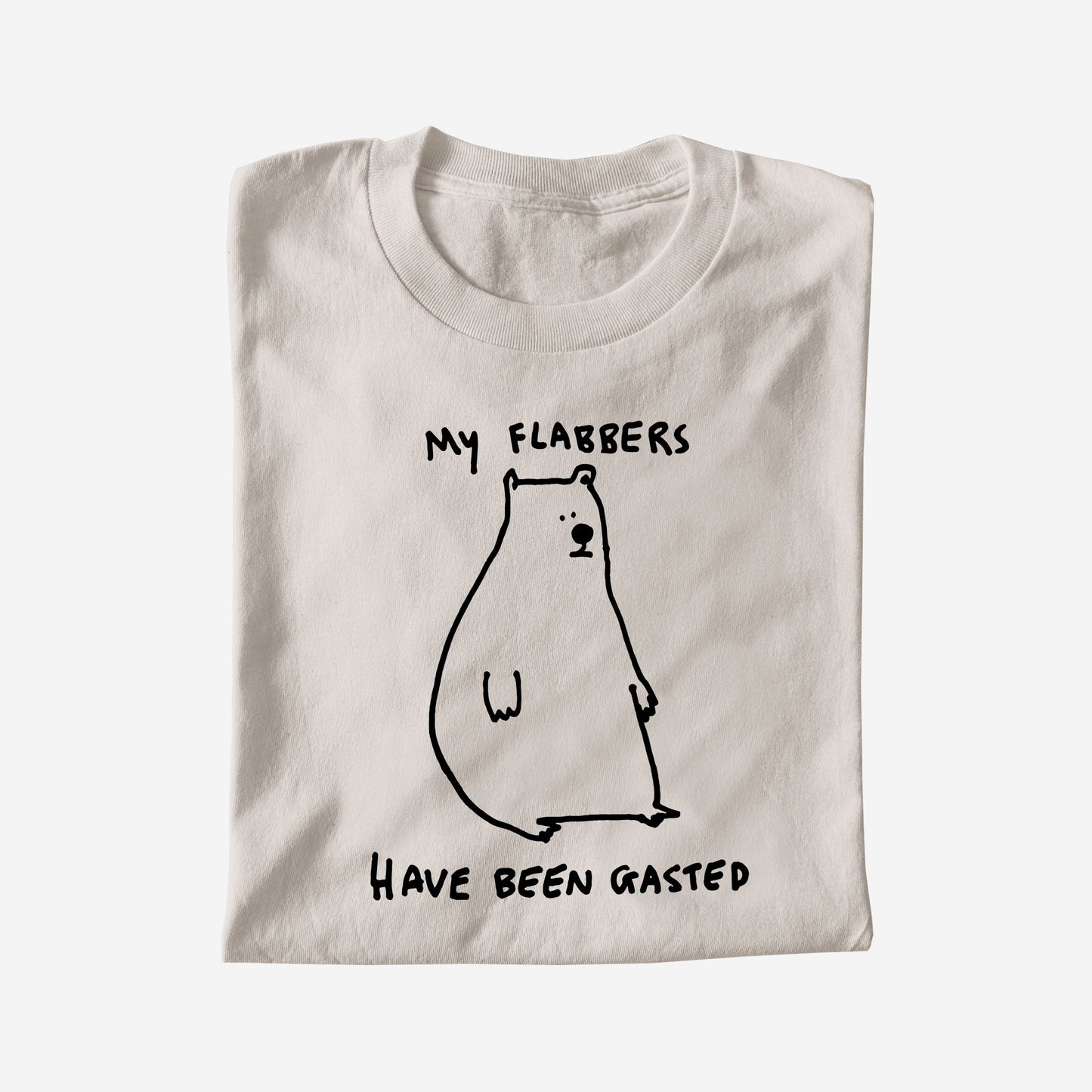 MY FLABBERS HAVE BEEN GASTED
