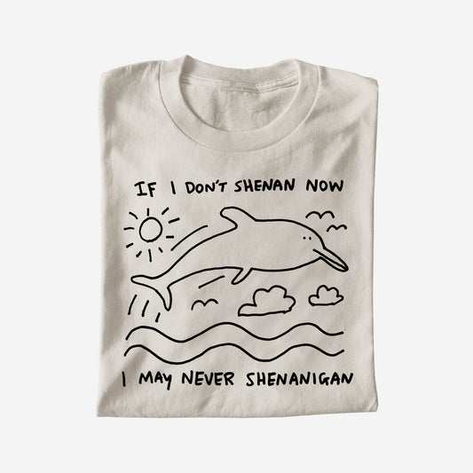 IF I DON'T SHENAN NOW