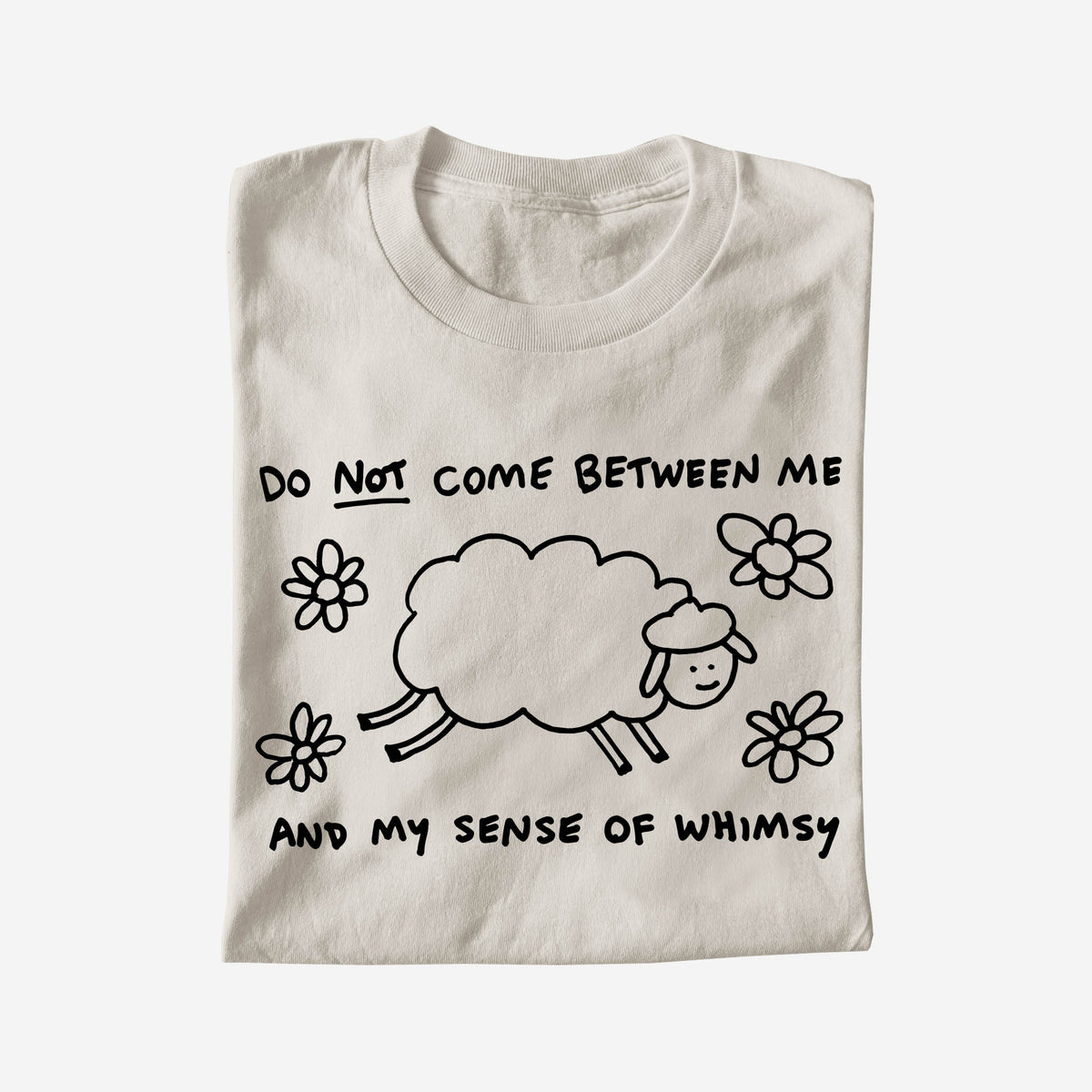 DO NOT COME BETWEEN ME AND MY WHIMSY