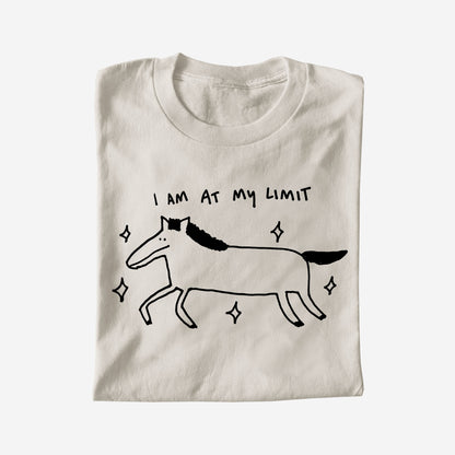 I AM AT MY LIMIT