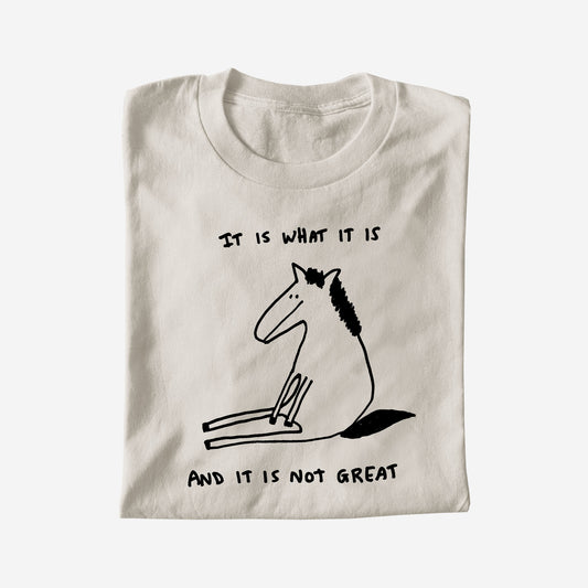 IT IS WHAT IT IS AND IT IS NOT GREAT
